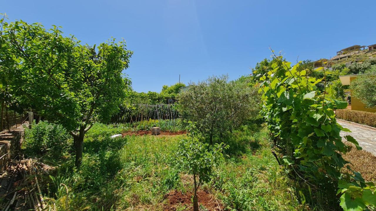 Village Home Next To The Sea ساراندا المظهر الخارجي الصورة